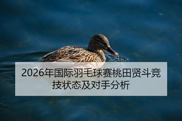 2026年国际羽毛球赛桃田贤斗竞技状态及对手分析